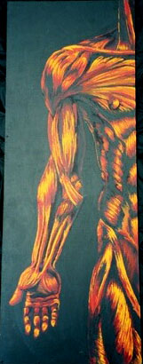 Anatomy #1
