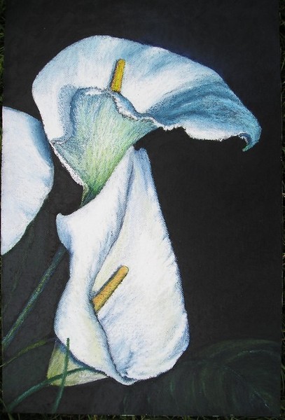Callas