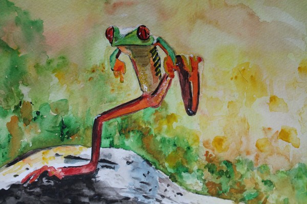 Frog