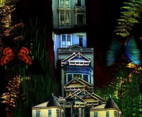 Wonder Land