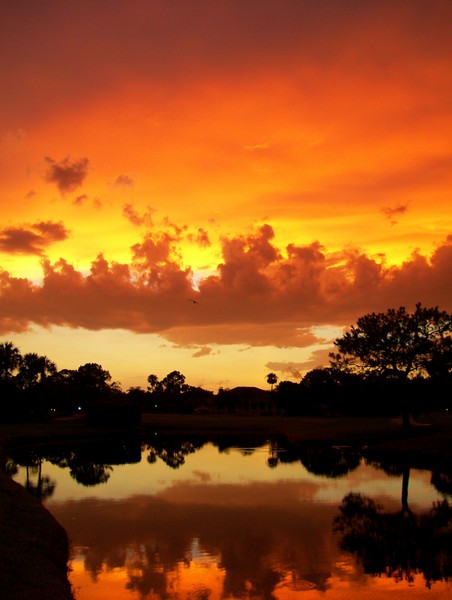 SANGRIA SKY