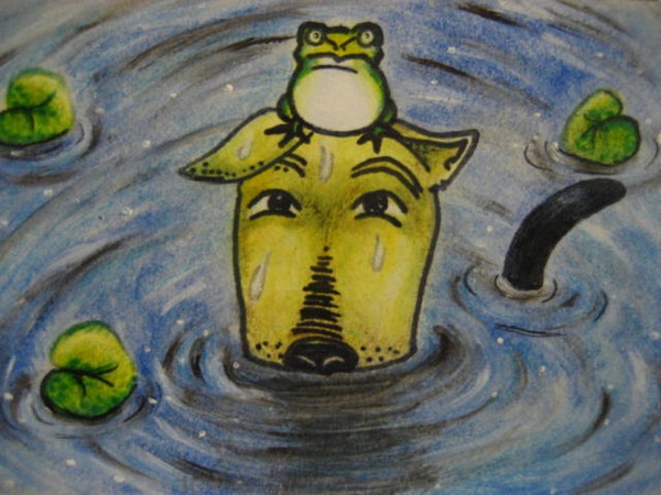 a dog & a frog in the water