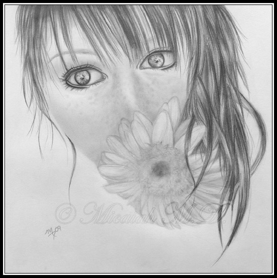 Gerbera