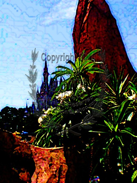 Plants Distant Castle Walt Disney World