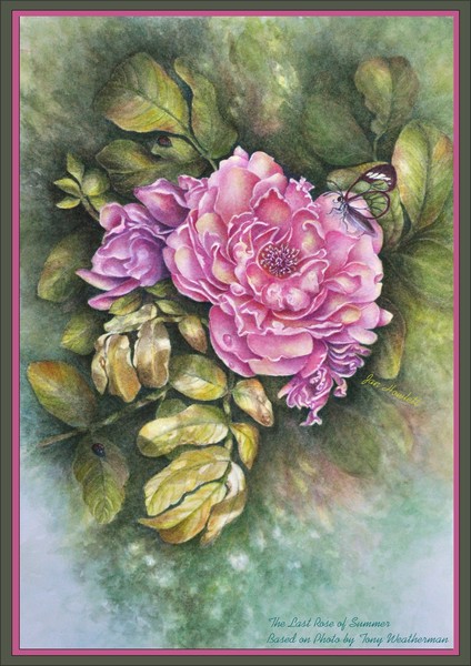 The Last Rose of Summer