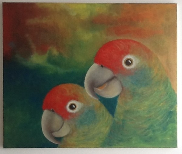 parrots
