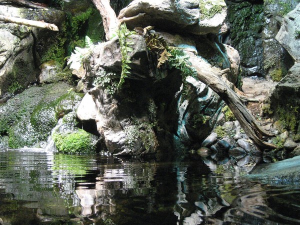 nature.