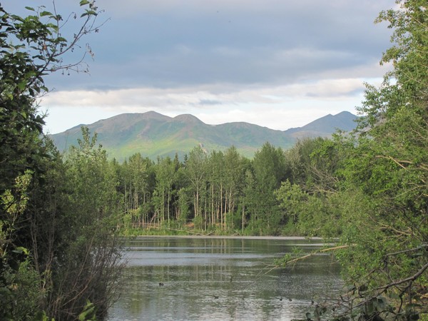 Alaska Wilderness 