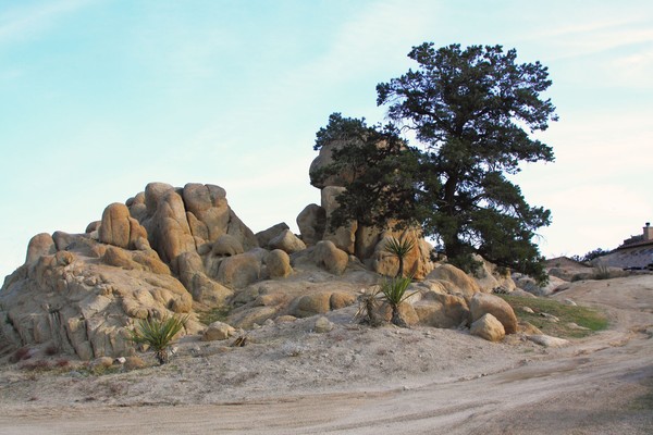 Yucca Valley Image 5