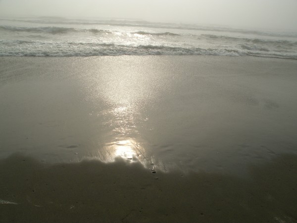 Day at the Beach 2