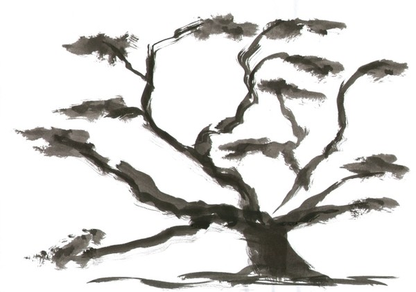 Japanese Gardens 16