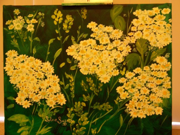 daisies