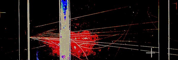 one particle of dust