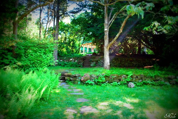 English Garden 1
