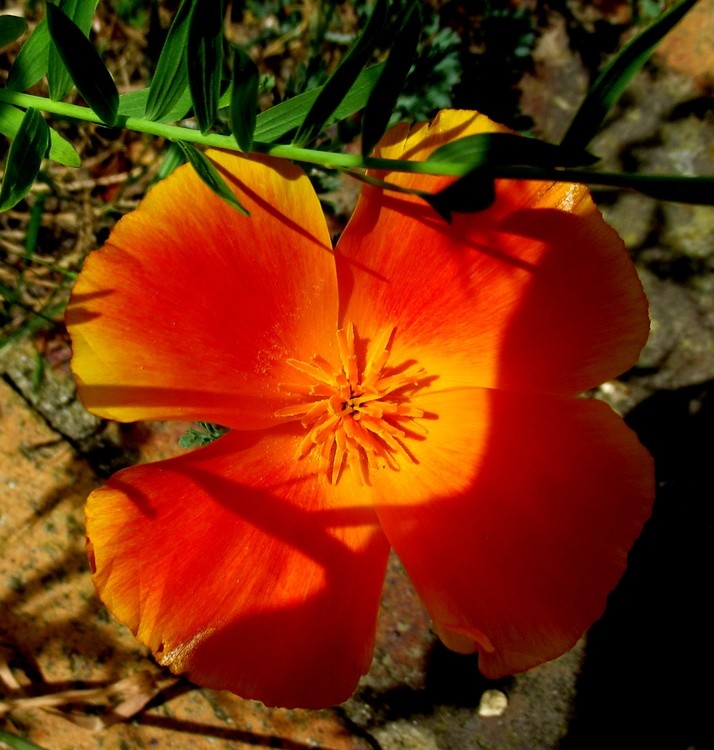 WISH YOU A BRILLIANT DAY!