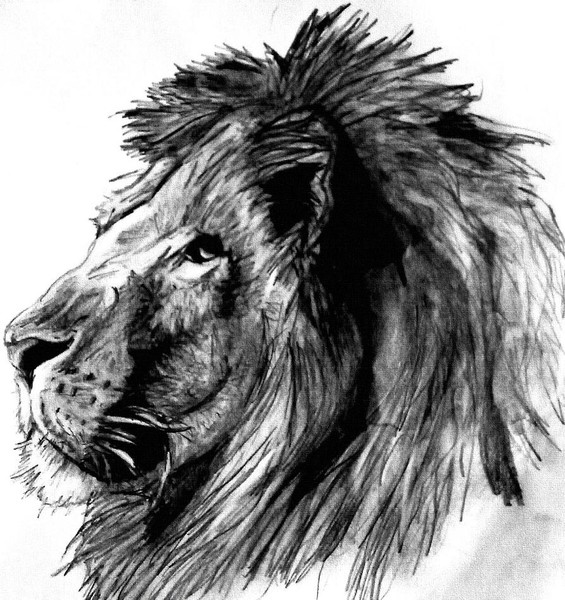Roar