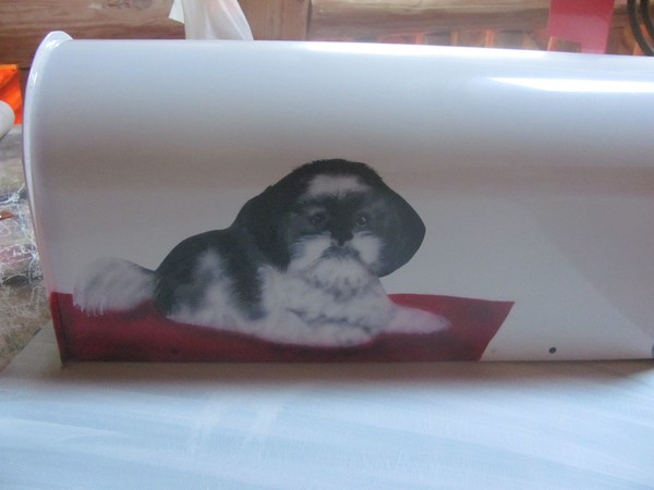 shih tzu mailbox