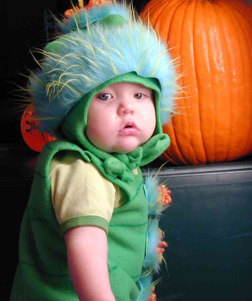 caterpillar costume