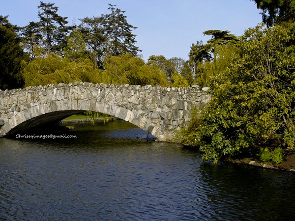 bridge
