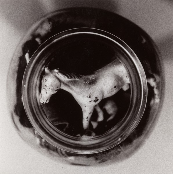 Horse circle