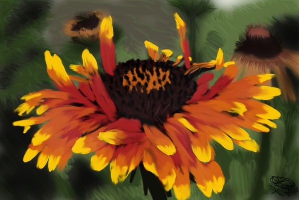 Roadside flowers