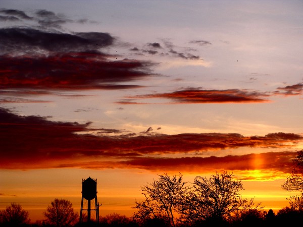 vernon tower 5
