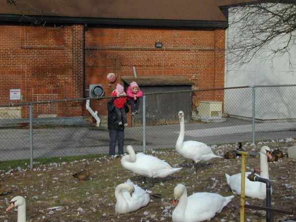 Happy Visitors