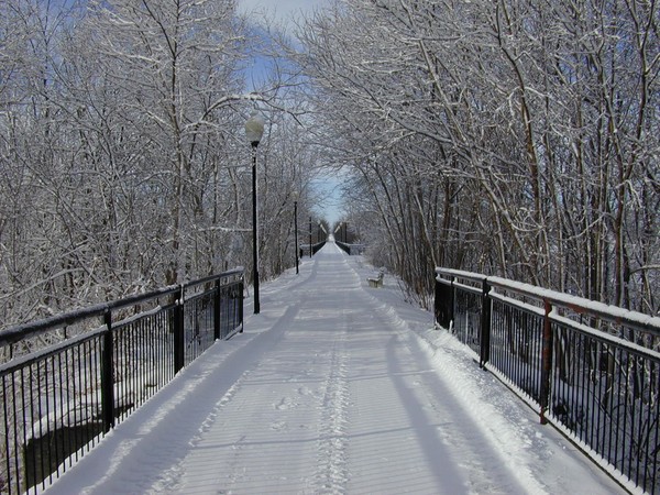 White Path