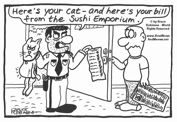BOW WOWS & MEOWS® CAT Cartoon - 