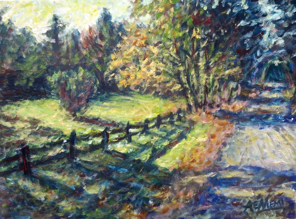 Fenced Field In Morning Light