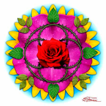 The Circle of Flora
