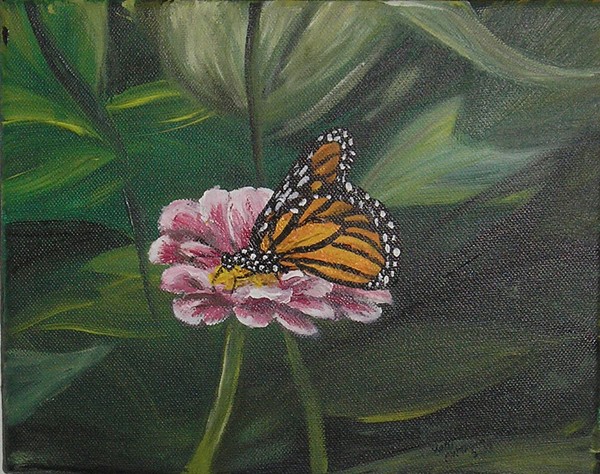 Butterfly