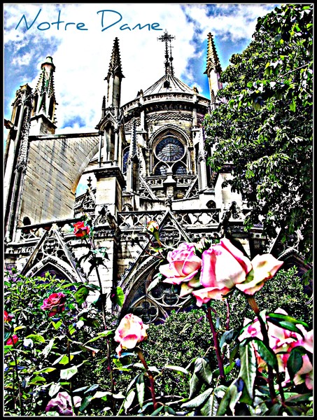 Notre Dame Paris
