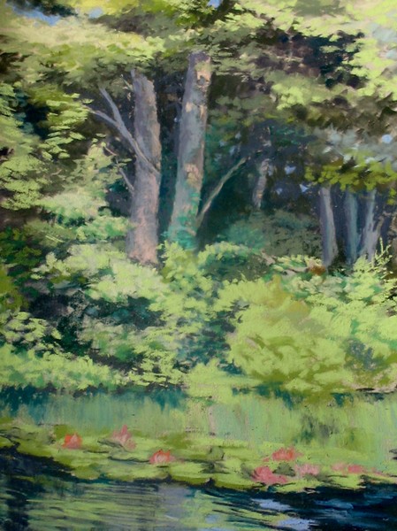 Trees and refections