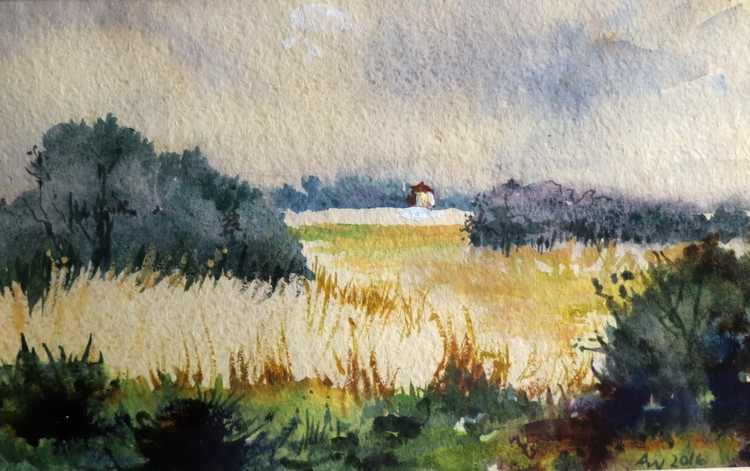 Saltmarsh, Brightlingsea