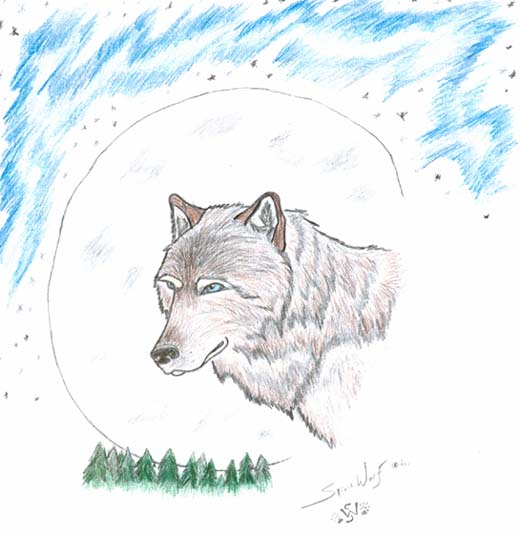 Moon light Wolf Drawing by Jvien Rey Tanudra  Saatchi Art