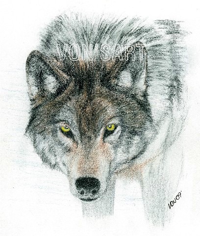 Wolf3
