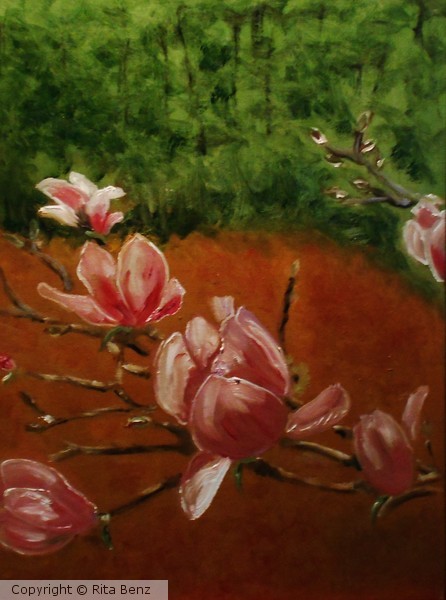 Japanese Magnolia