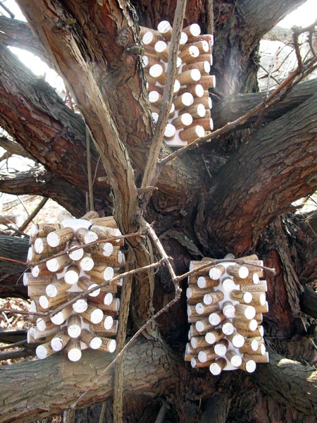 Corks