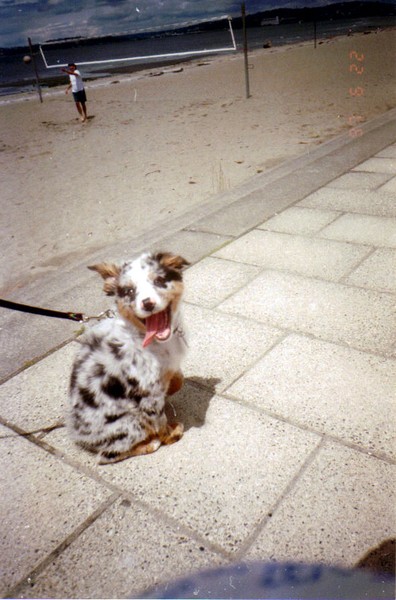 Jasmine's First Outing