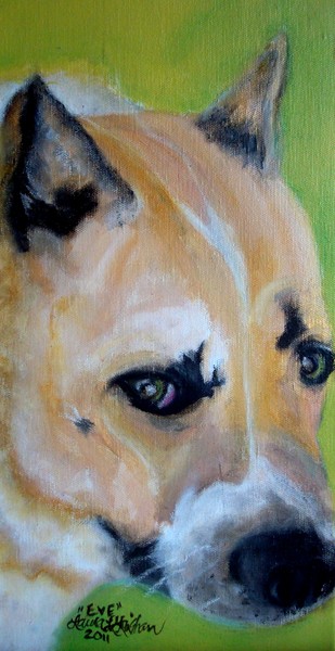 Pit Bull Remembered