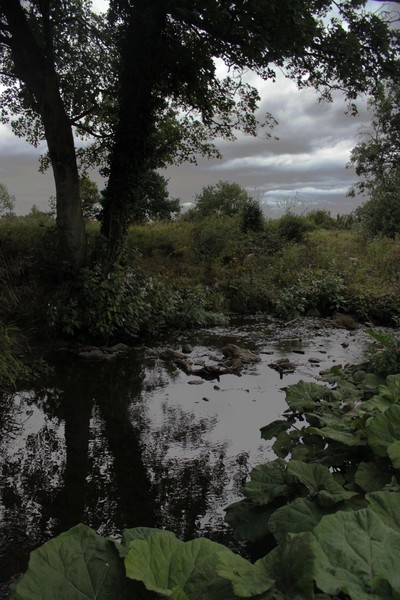 photoshop grace dieu landscape with no bricks