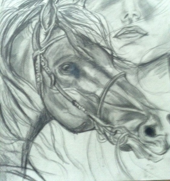 Horse 
