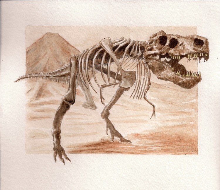 Bones