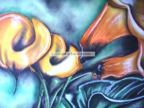 Orange Crush