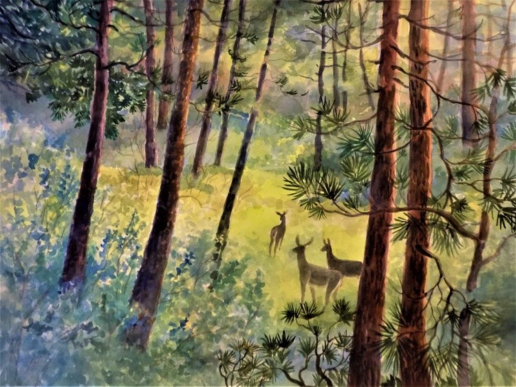 Spring in the Kalmiopsis