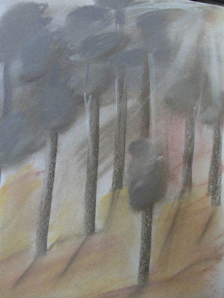 Woods
