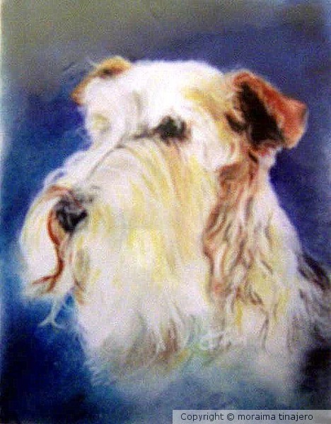 untitled/commissioned portrait