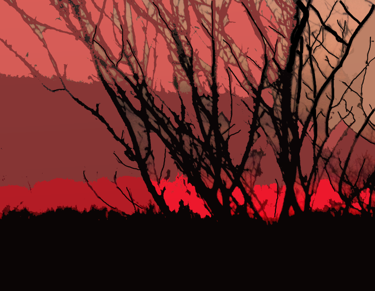 thru the branches
