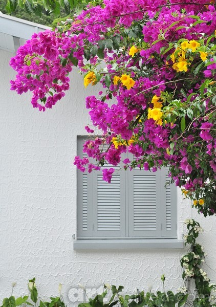 a view of the colorful wall